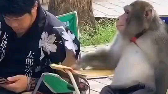 笑死我了